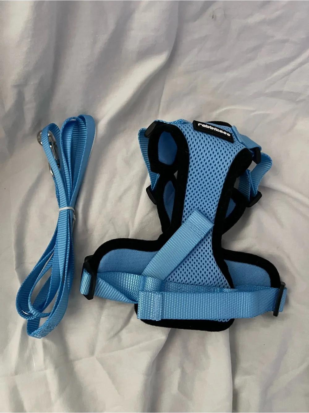 0097: NWOT Light Blue Cat Harness and Leash Set - Adjustable Comfort Fit